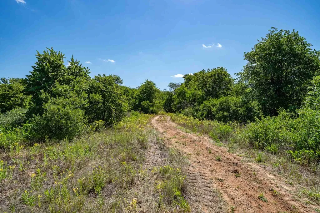 Tbd Lot#1 County Road 335 Anson TX 79501