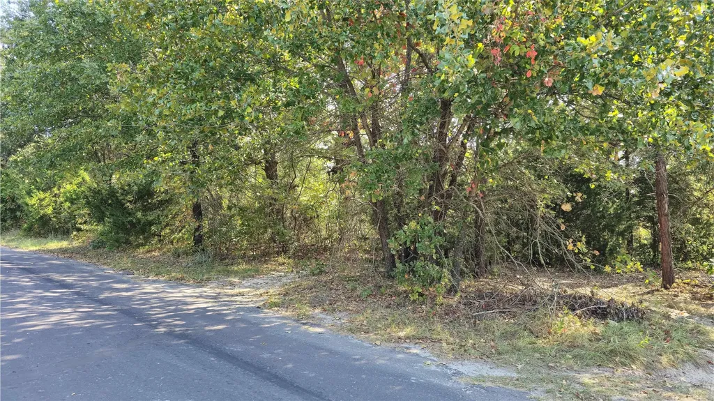 208 County Road 2267 Mineola TX 75773