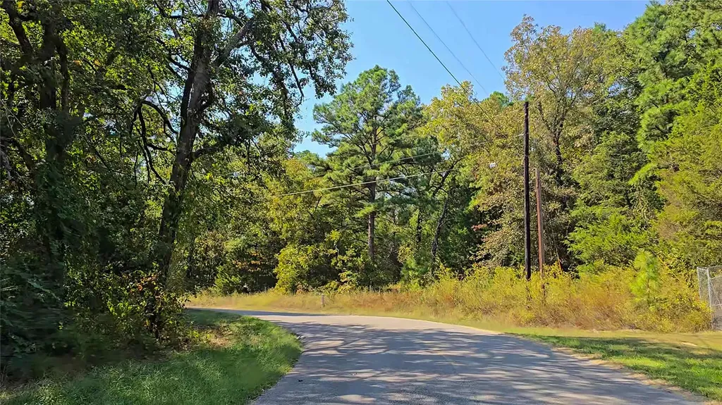208 County Road 2267 Mineola TX 75773