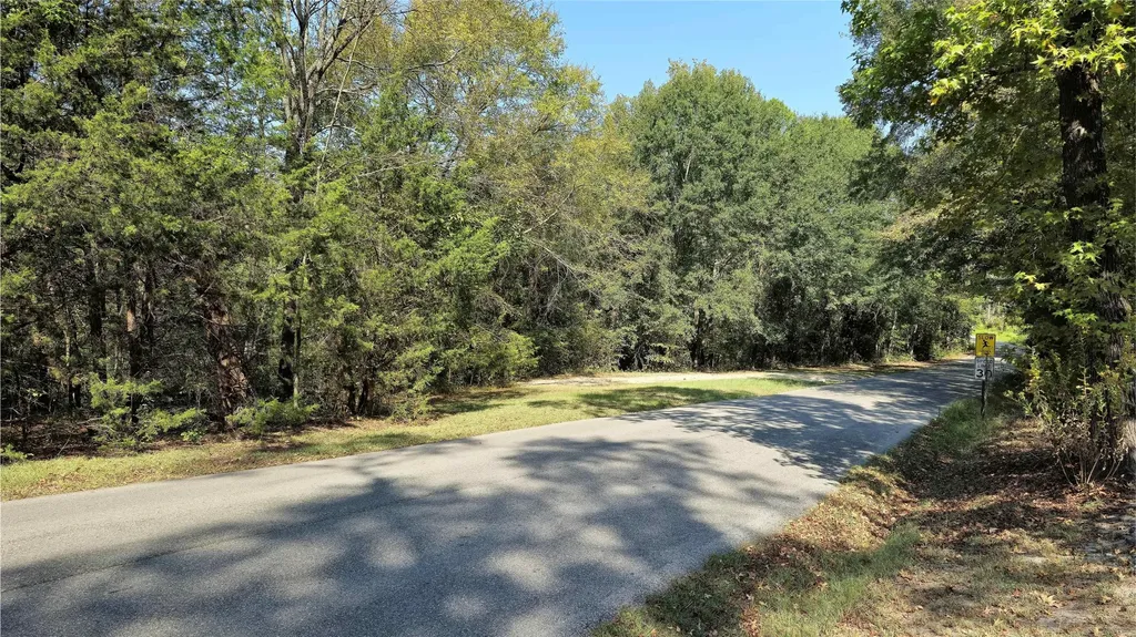208 County Road 2267 Mineola TX 75773