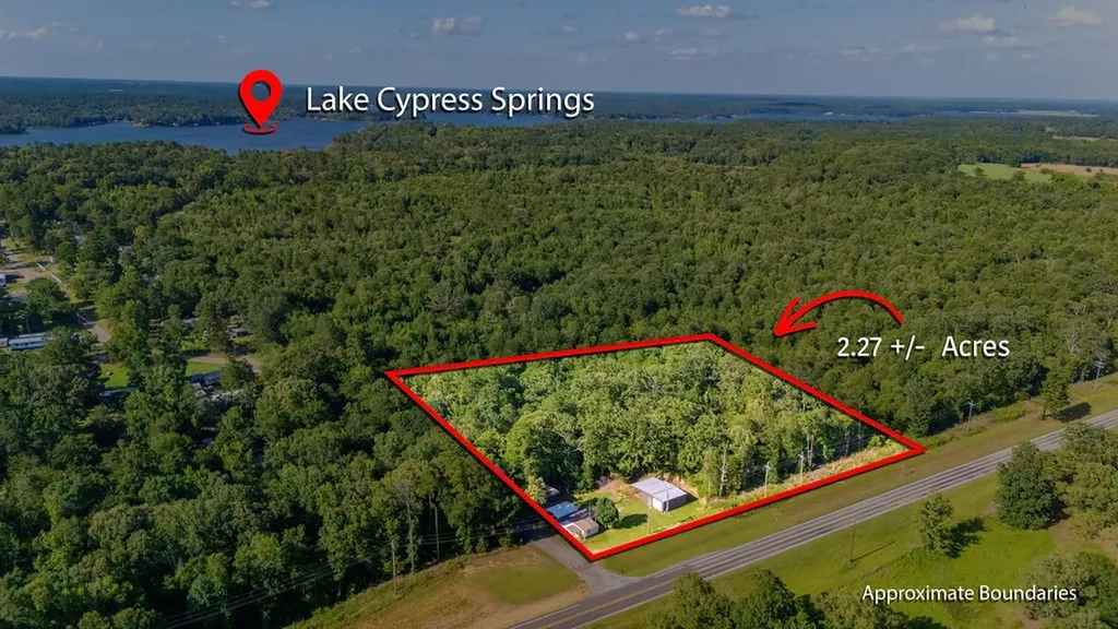 102 Sandy Main Road Scroggins TX 75480