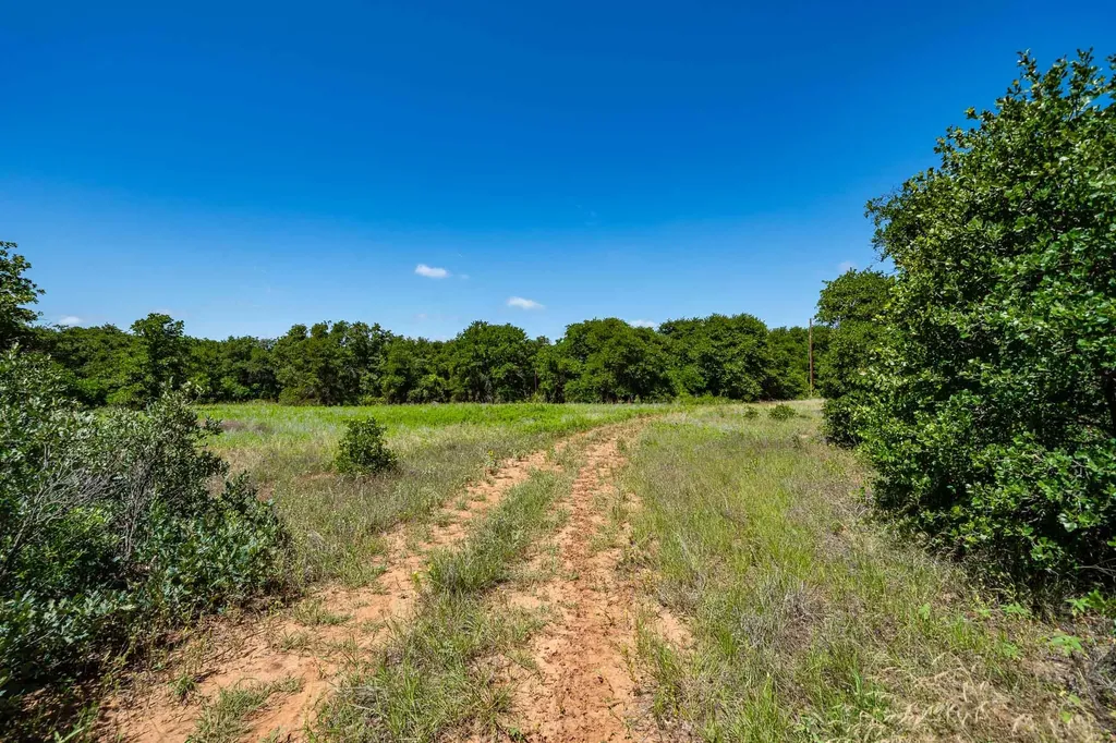 Tbd Lot#3 County Road 335 Anson TX 79501