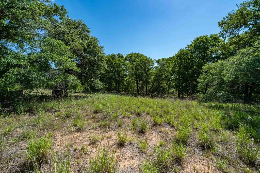Tbd Lot#3 County Road 335 Anson TX 79501