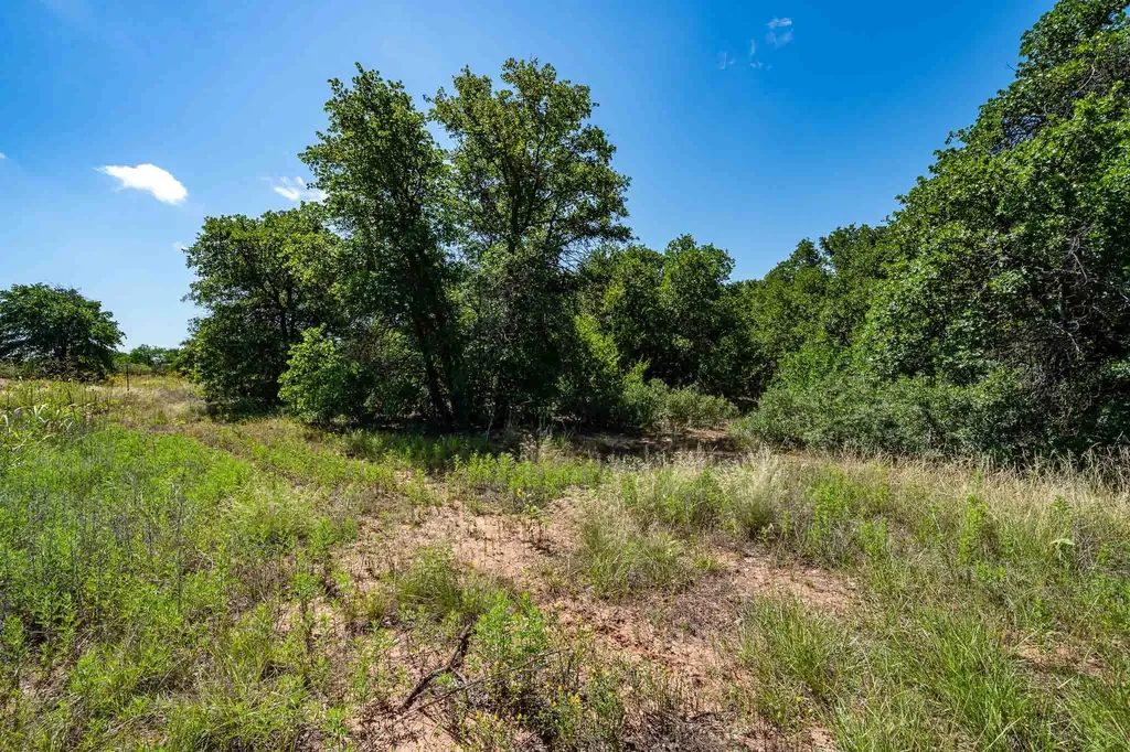 Tbd Lot#3 County Road 335 Anson TX 79501