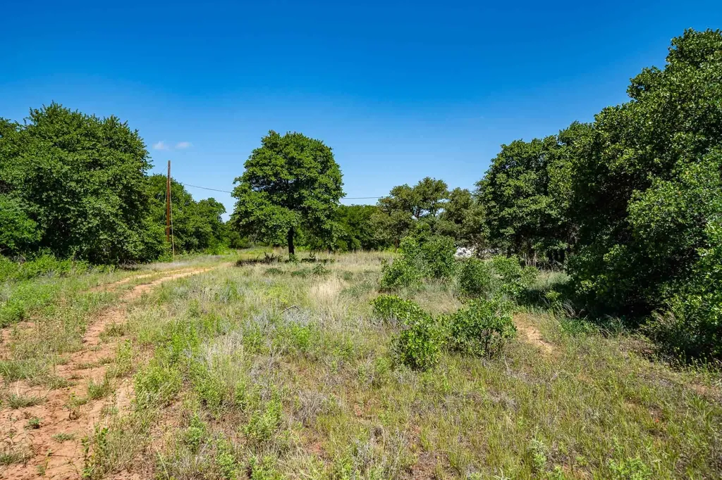 Tbd Lot#3 County Road 335 Anson TX 79501