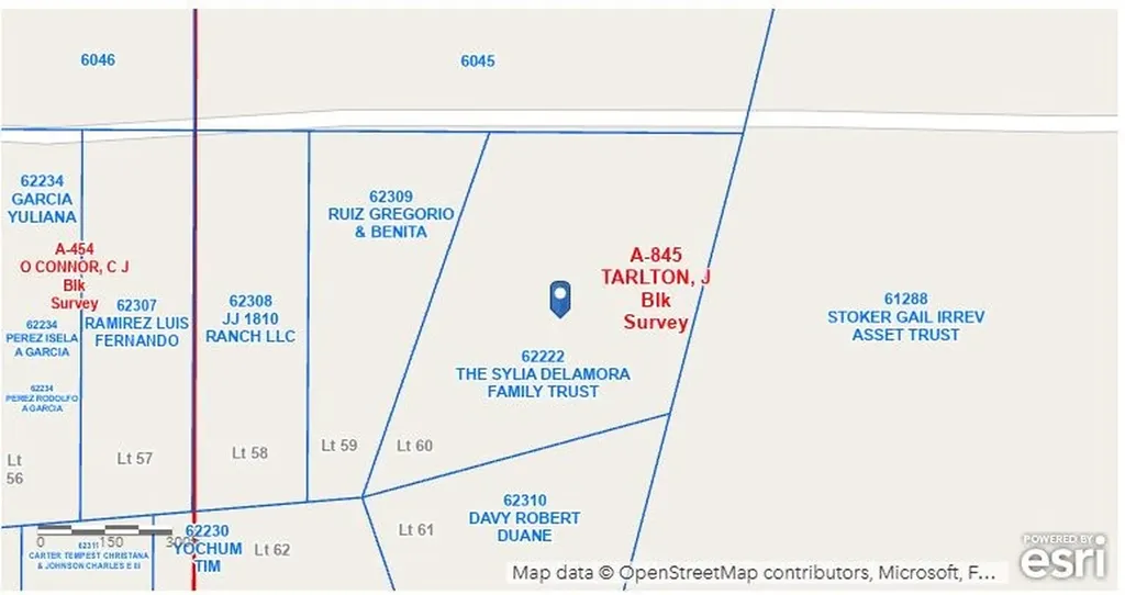 Lot 60 Buffalo Lane Chico TX 76431