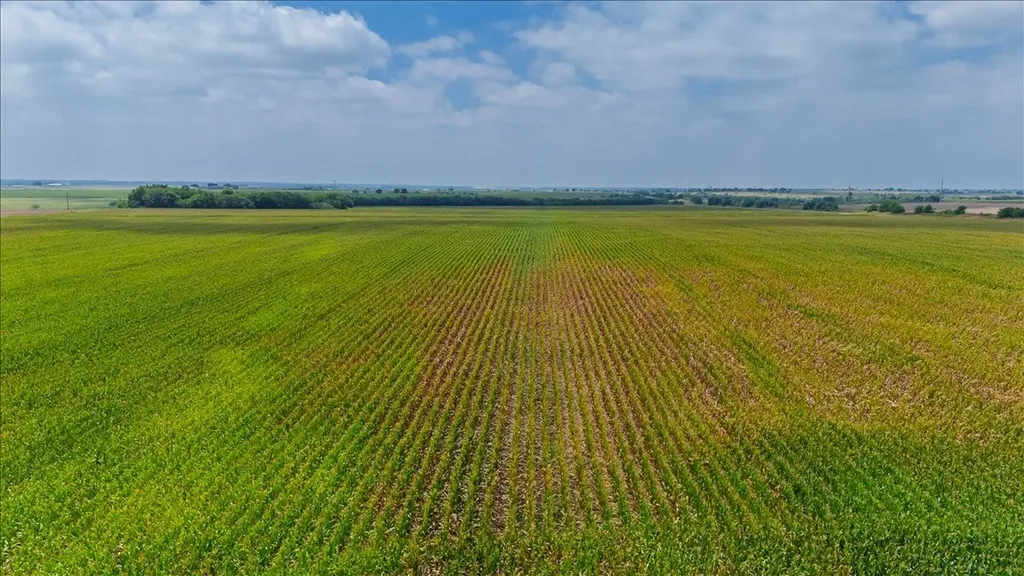 Tbd St Highway 81 Hillsboro TX 76645