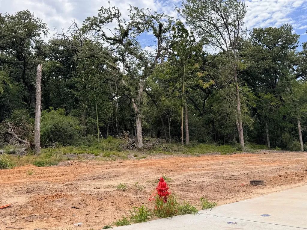 Lot 18 Tbd Pardise Cove Road Lakeside TX 76108