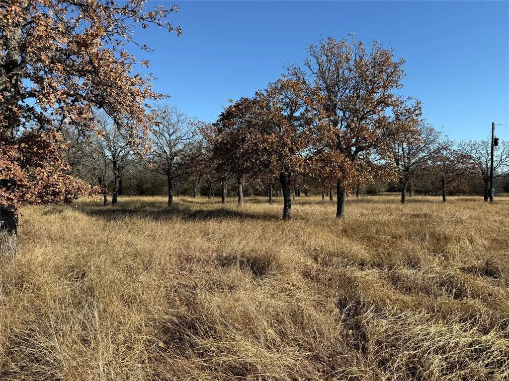 Tbd Private Road Morgan TX 76671