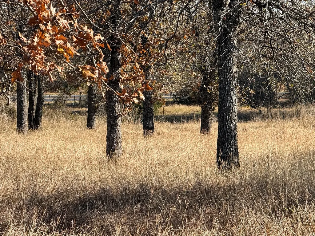 Tbd Private Road Morgan TX 76671