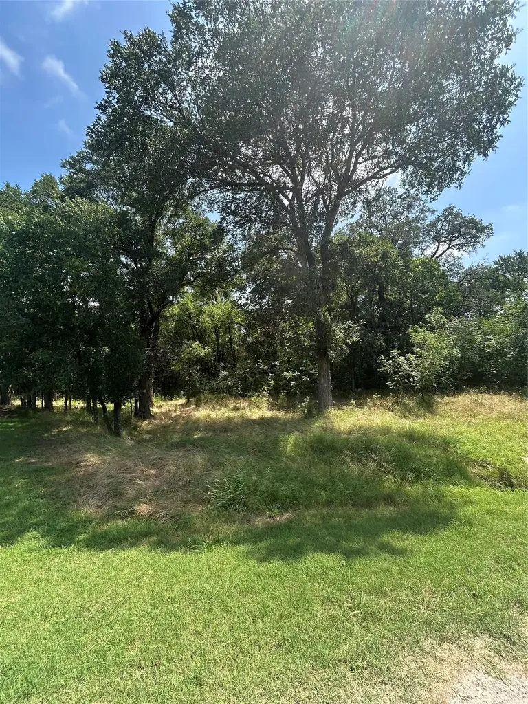 13011 Crestwood Drive Whitney TX 76692