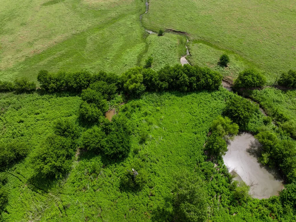 3725 Cr 272 Oglesby TX 76561