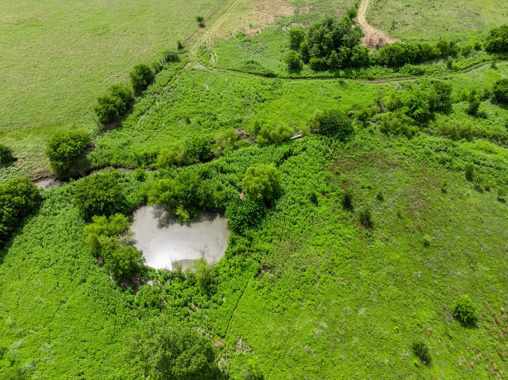 3725 Cr 272 Oglesby TX 76561