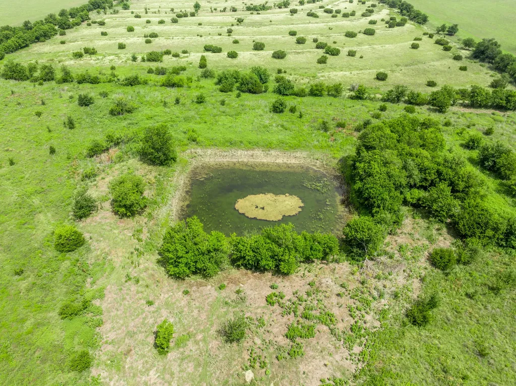 3725 Cr 272 Oglesby TX 76561