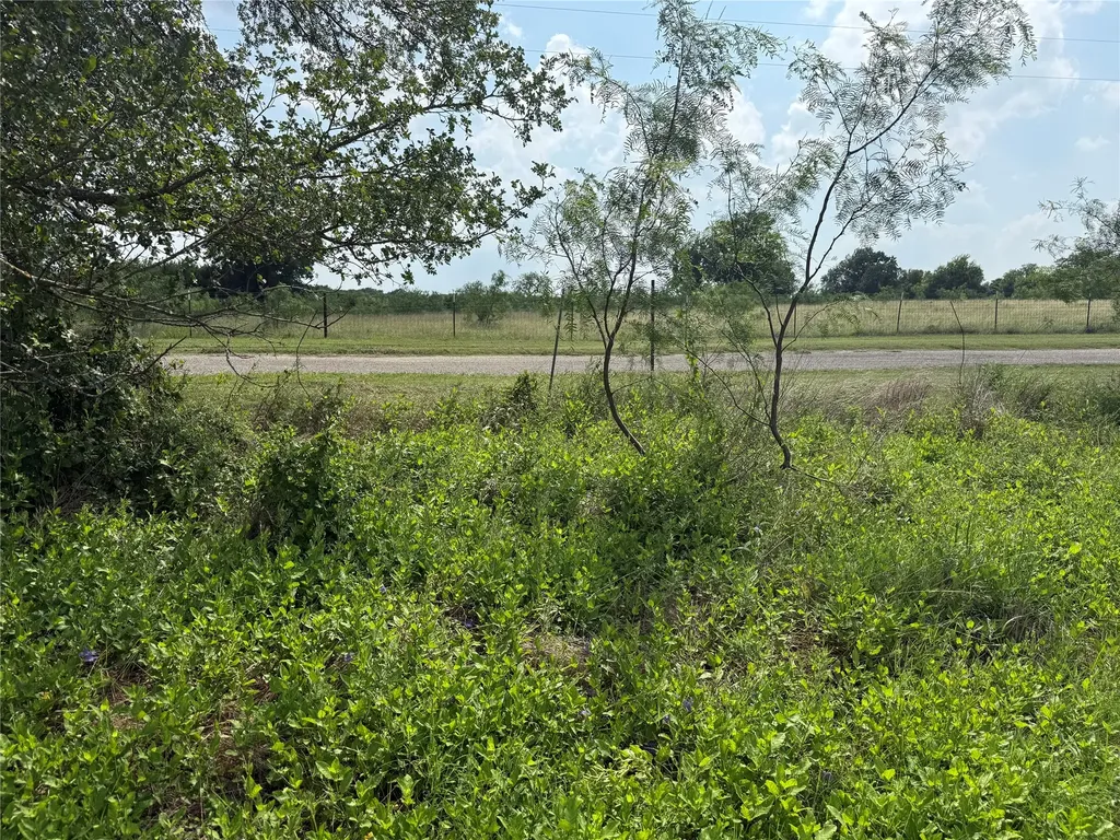 Lot 13 Open Water Way Streetman TX 75859