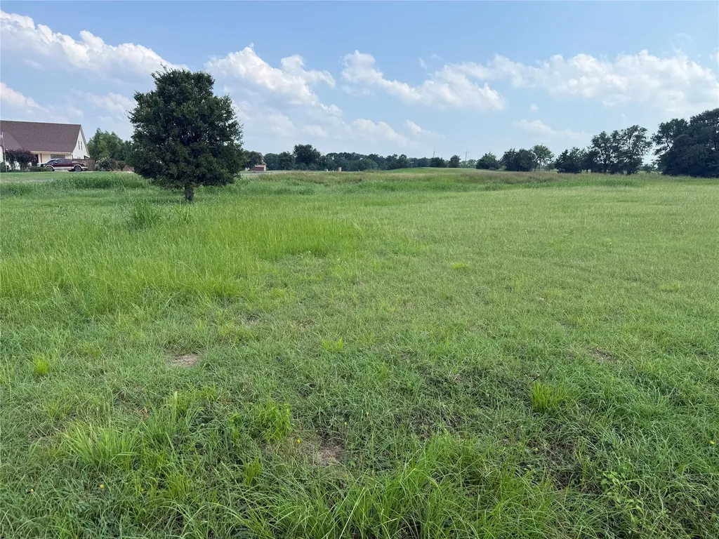 Lot 13 Open Water Way Streetman TX 75859