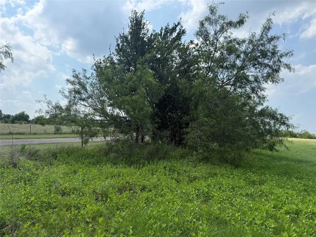 Lot 13 Open Water Way Streetman TX 75859