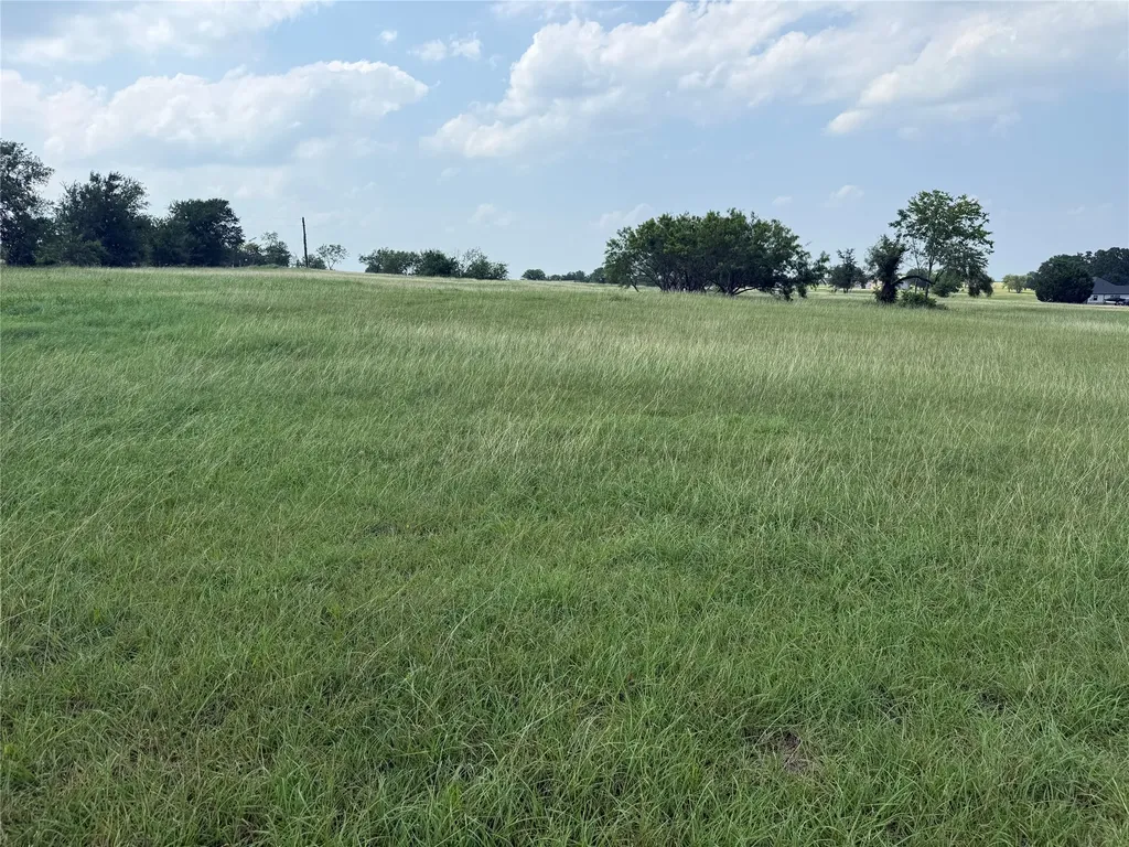Lot 13 Open Water Way Streetman TX 75859