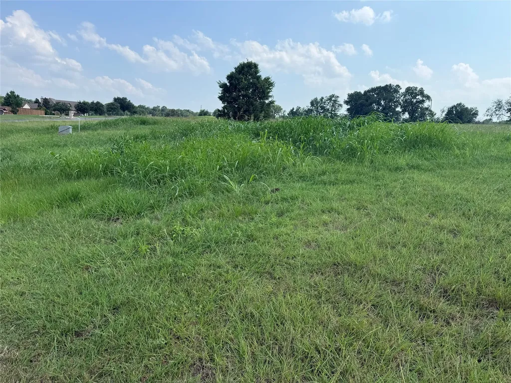 Lot 13 Open Water Way Streetman TX 75859