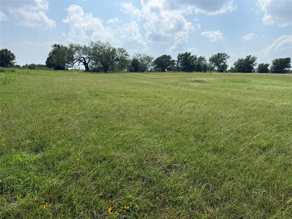 Lot 13 Open Water Way Streetman TX 75859