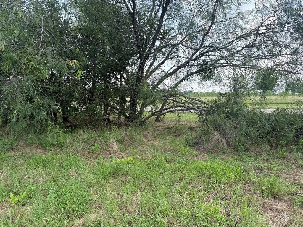 Lot 13 Open Water Way Streetman TX 75859