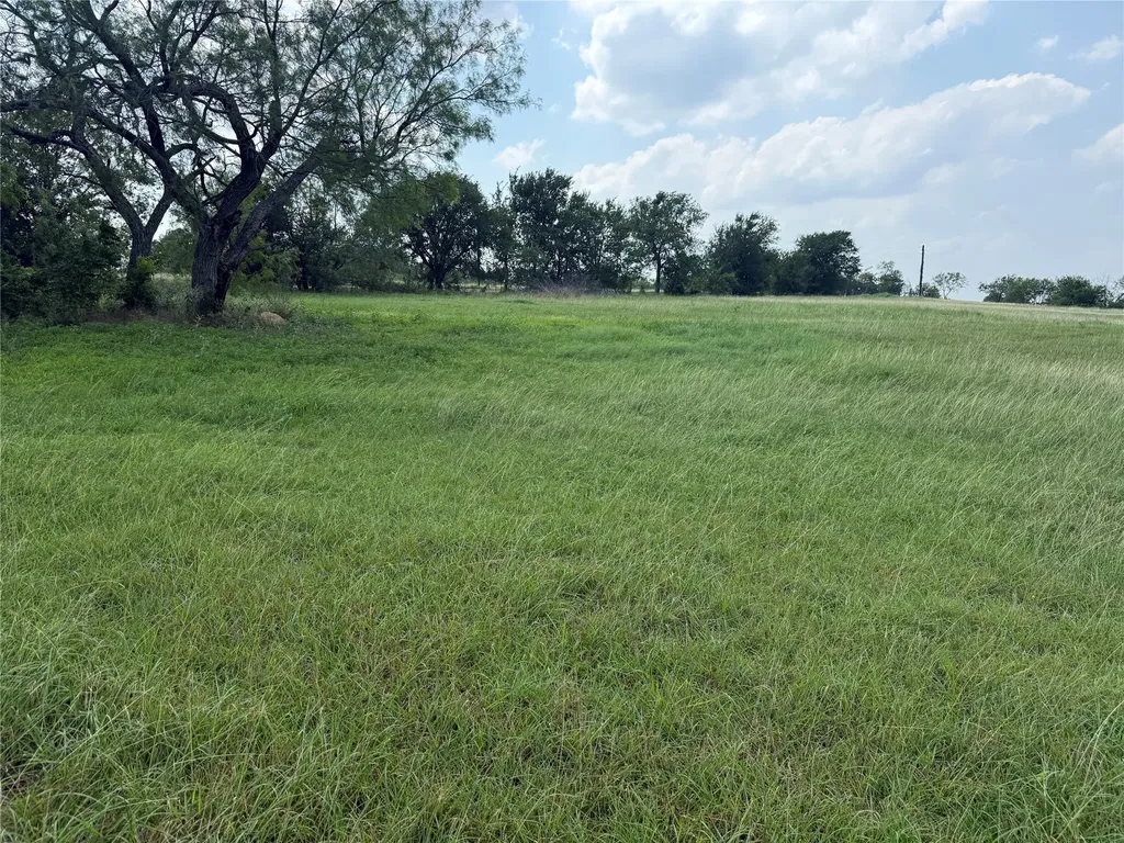 Lot 13 Open Water Way Streetman TX 75859