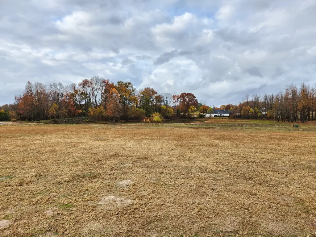 Lot 23 Cr 2230 Mineola TX 75773