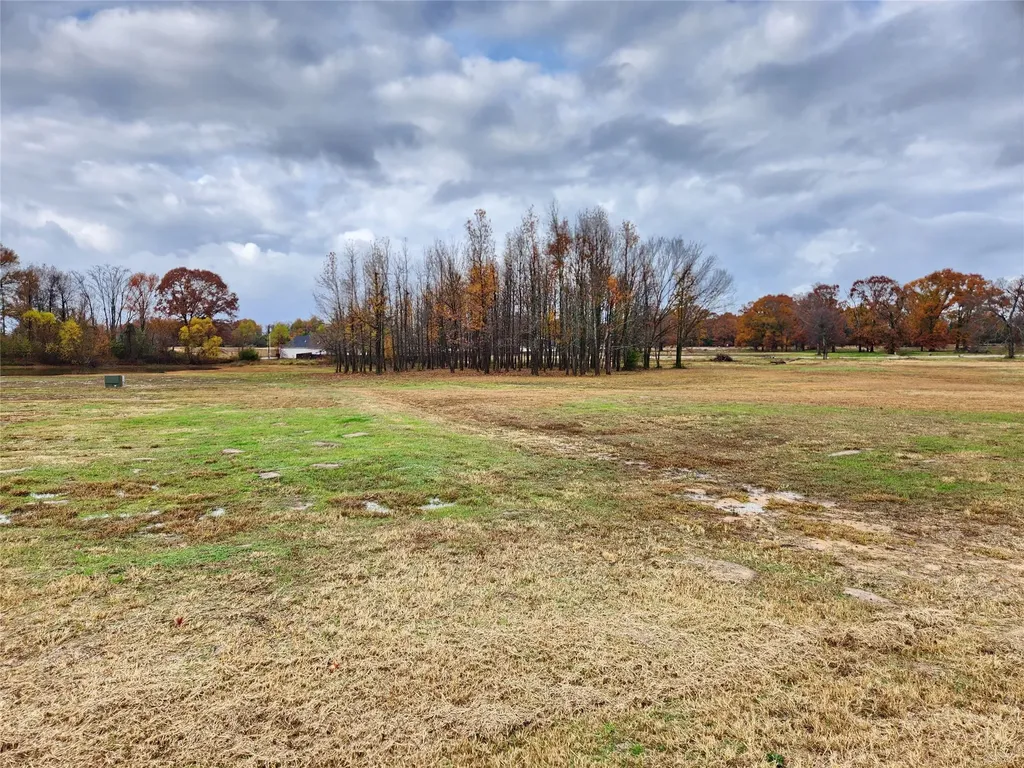 Lot 23 Cr 2230 Mineola TX 75773