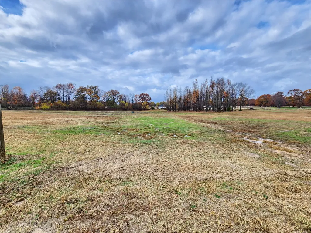Lot 23 Cr 2230 Mineola TX 75773