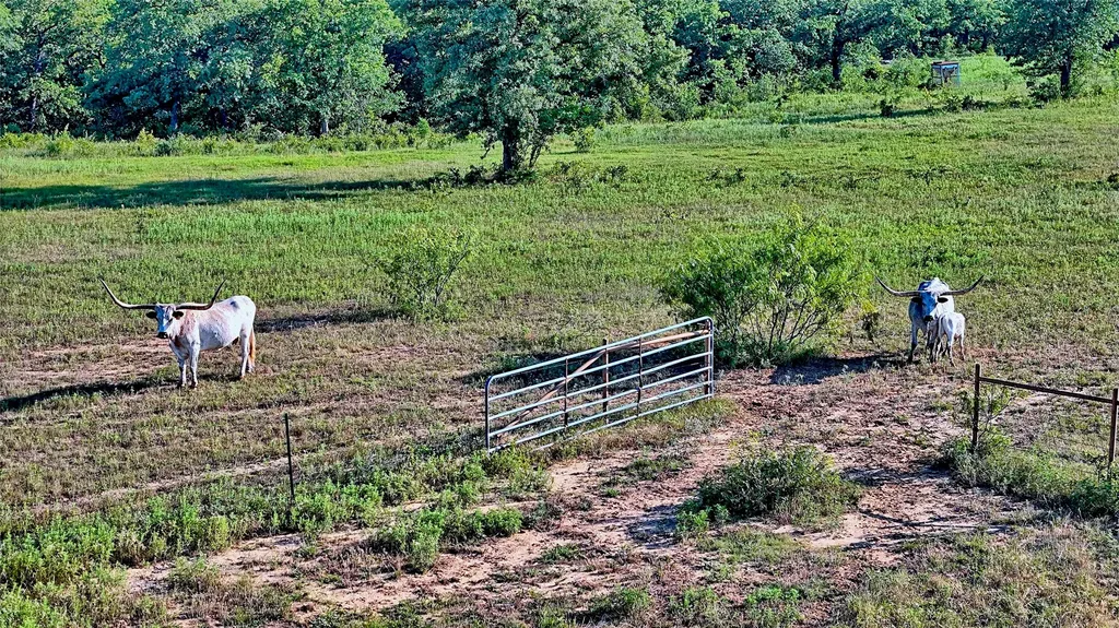 7912 Fm 1956 Nocona TX 76255