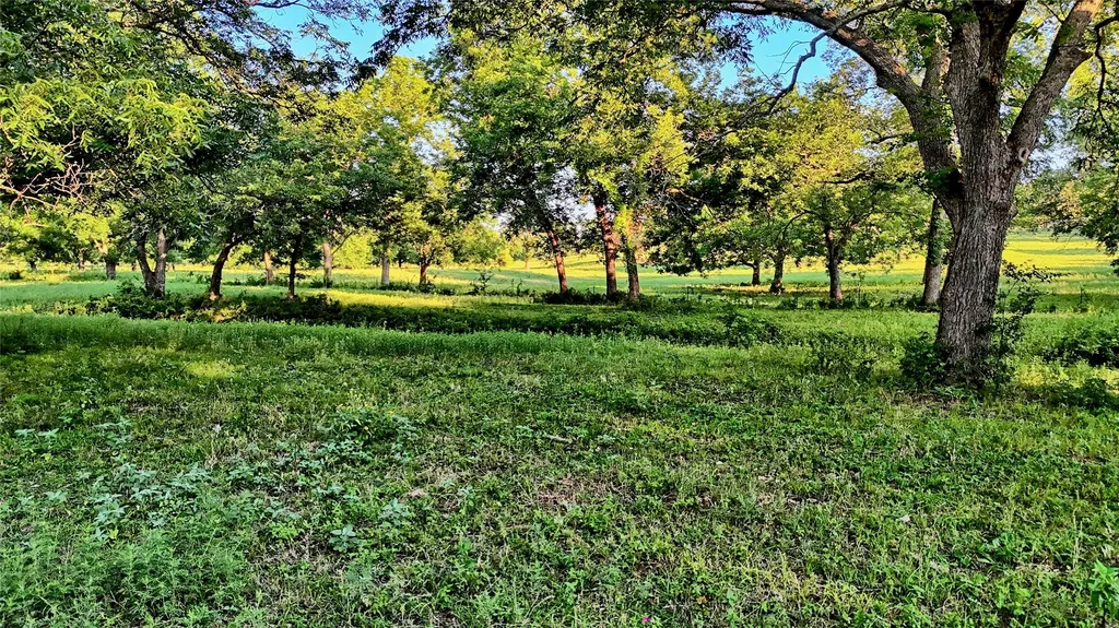 7912 Fm 1956 Nocona TX 76255