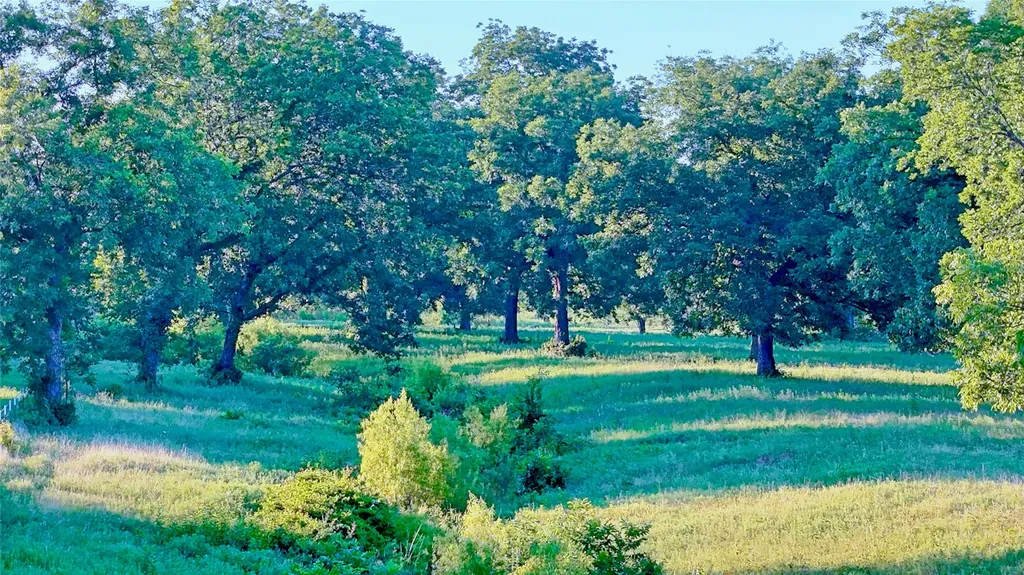 7912 Fm 1956 Nocona TX 76255