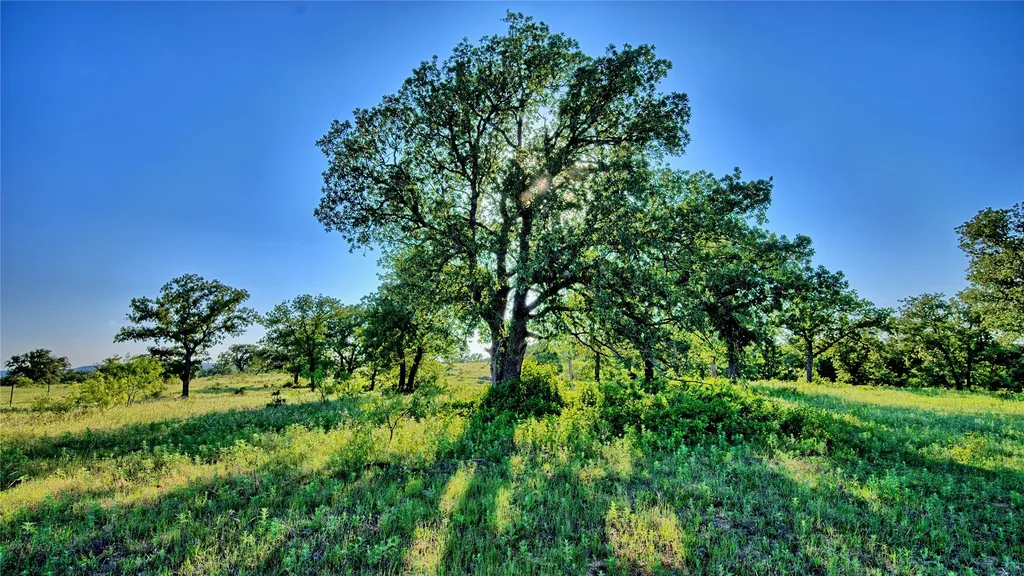 7912 Fm 1956 Nocona TX 76255