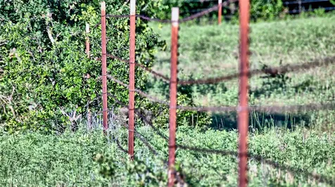 7912 Fm 1956 Nocona TX 76255