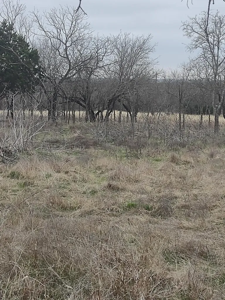 138 Pr 226 Road Whitney TX 76692