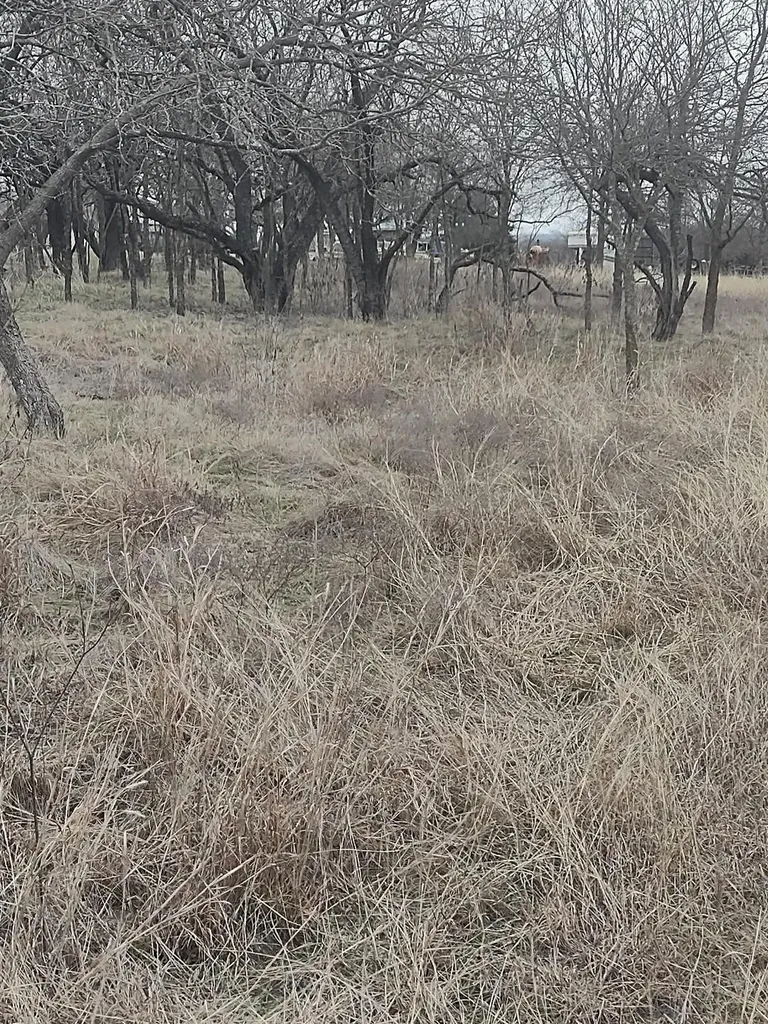138 Pr 226 Road Whitney TX 76692