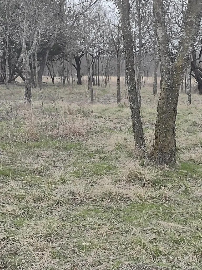 138 Pr 226 Road Whitney TX 76692