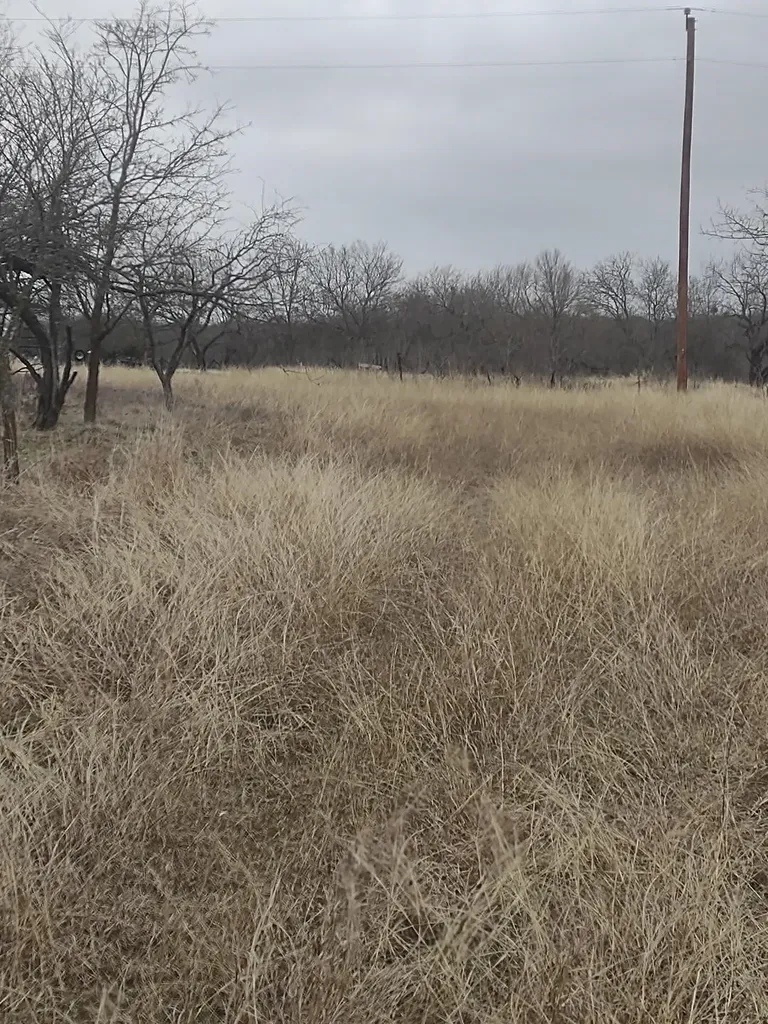138 Pr 226 Road Whitney TX 76692