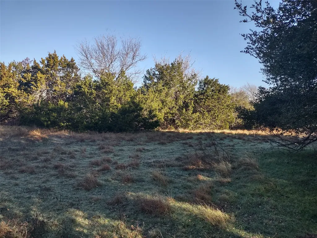37024 Woodacre Loop Whitney TX 76692