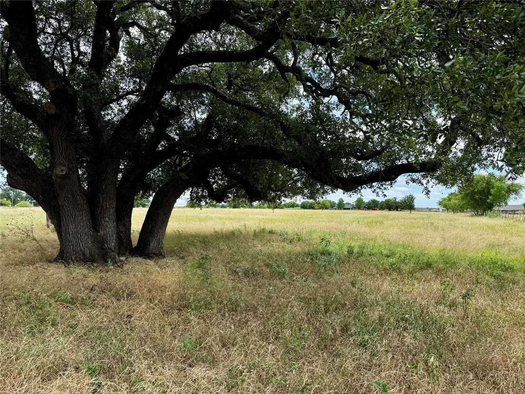 T B D Hayes Road Mineral Wells TX 76067