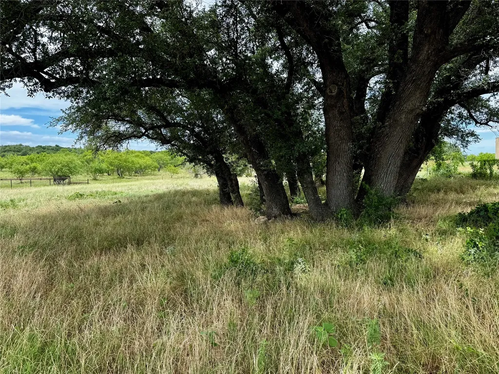 T B D Hayes Road Mineral Wells TX 76067