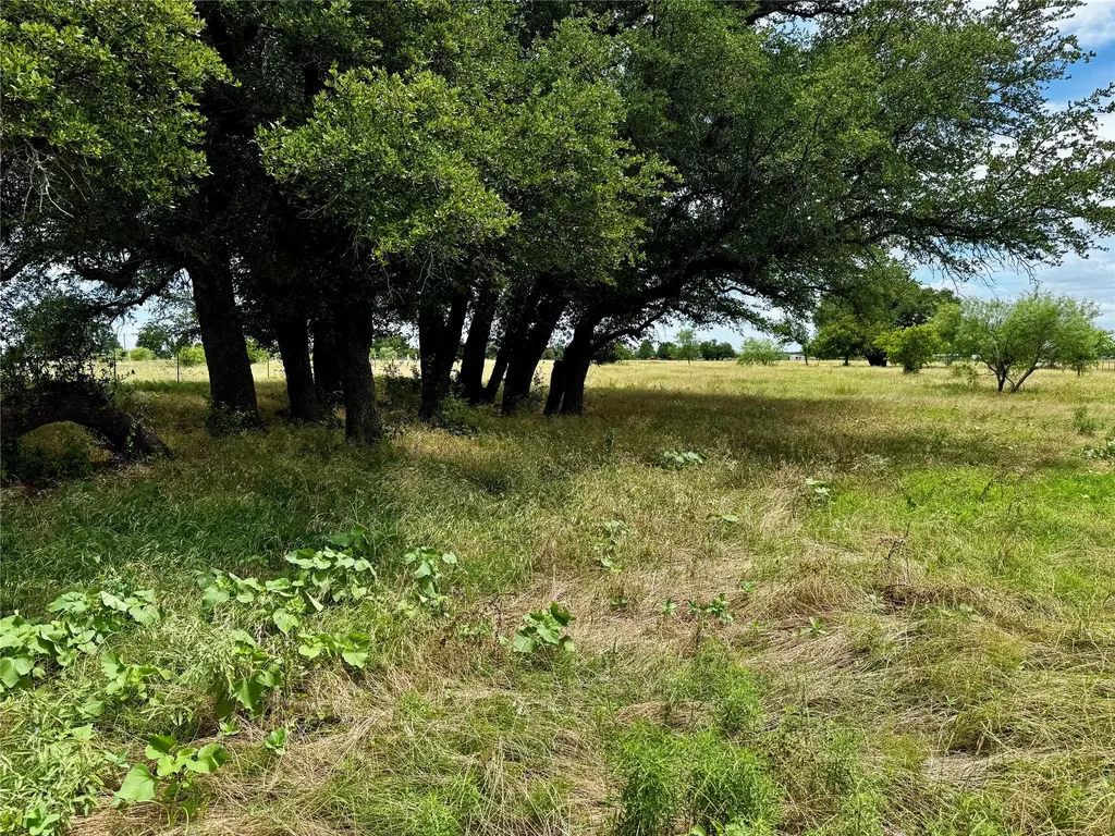 T B D Hayes Road Mineral Wells TX 76067