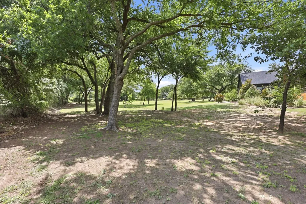 344 Zebrastone Way Poolville TX 76487