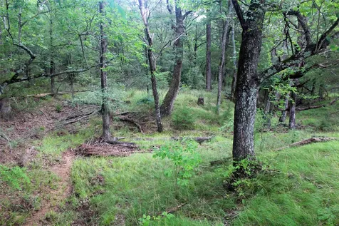 Tbd County Road 4090 Kerens TX 75144
