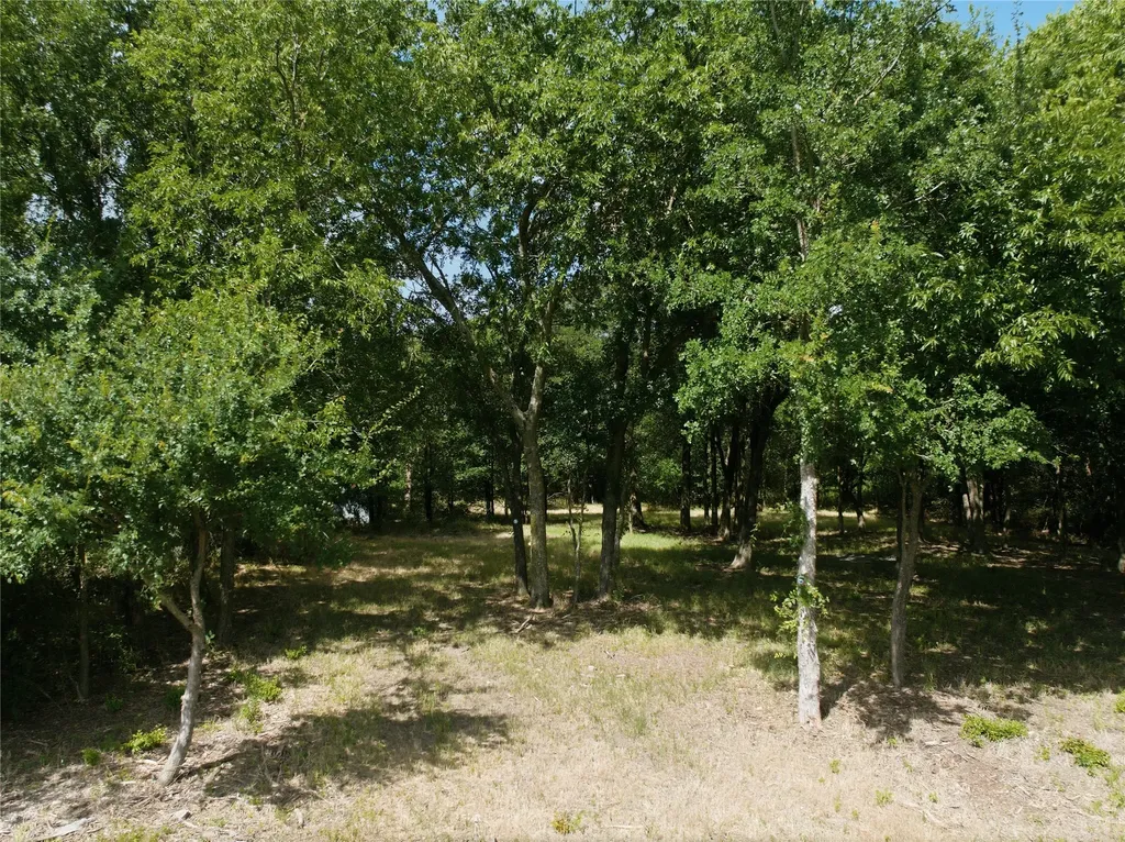 Tract 4 Hcr 3204 Abbott TX 76621