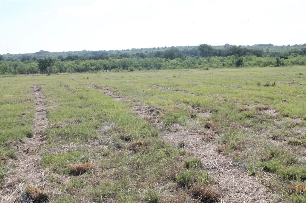 688 Comanche Lake Road Comanche TX 76442