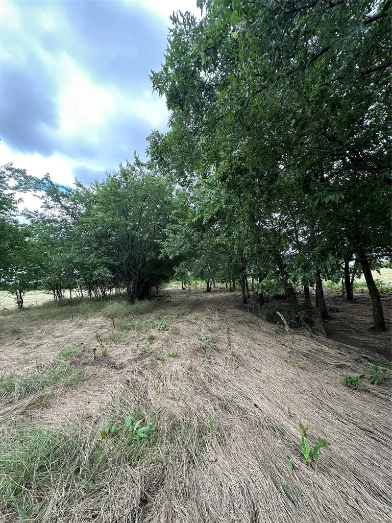 Tbd Krahl Road Valley View TX 76272