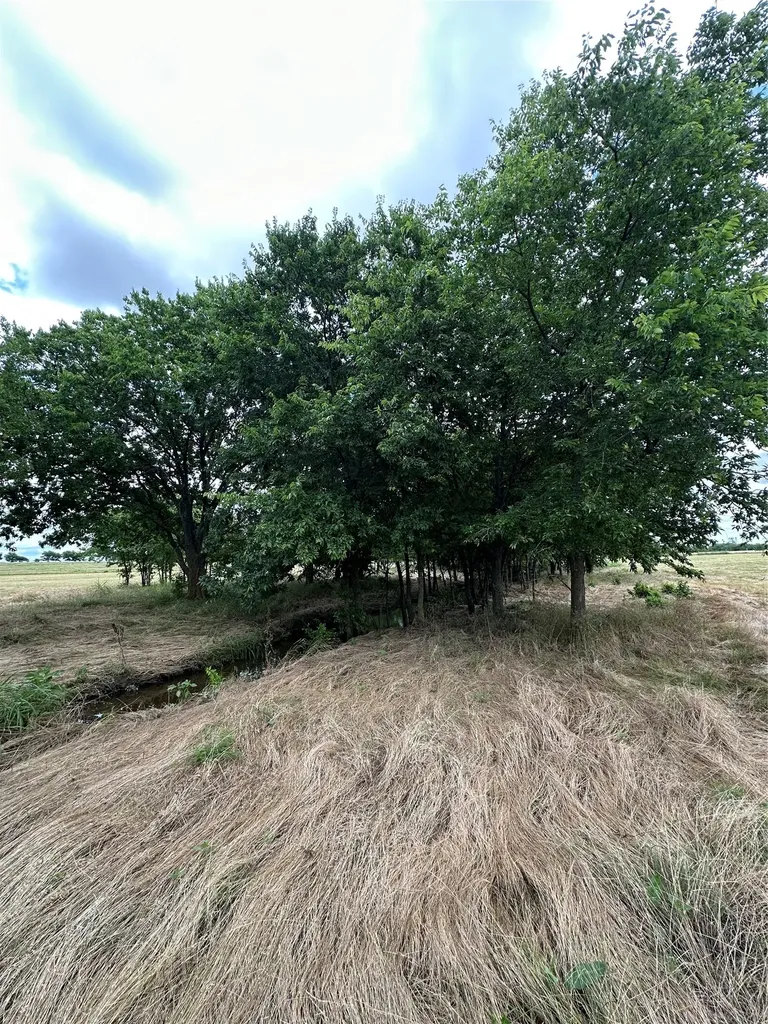 Tbd Krahl Road Valley View TX 76272