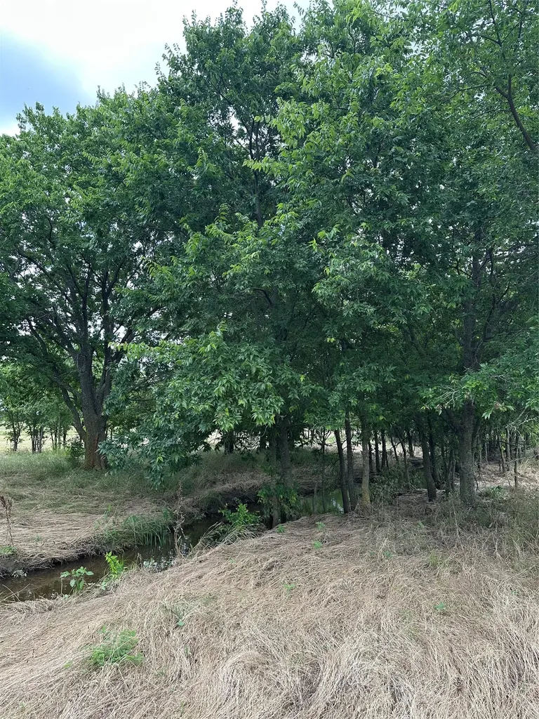 Tbd Krahl Road Valley View TX 76272