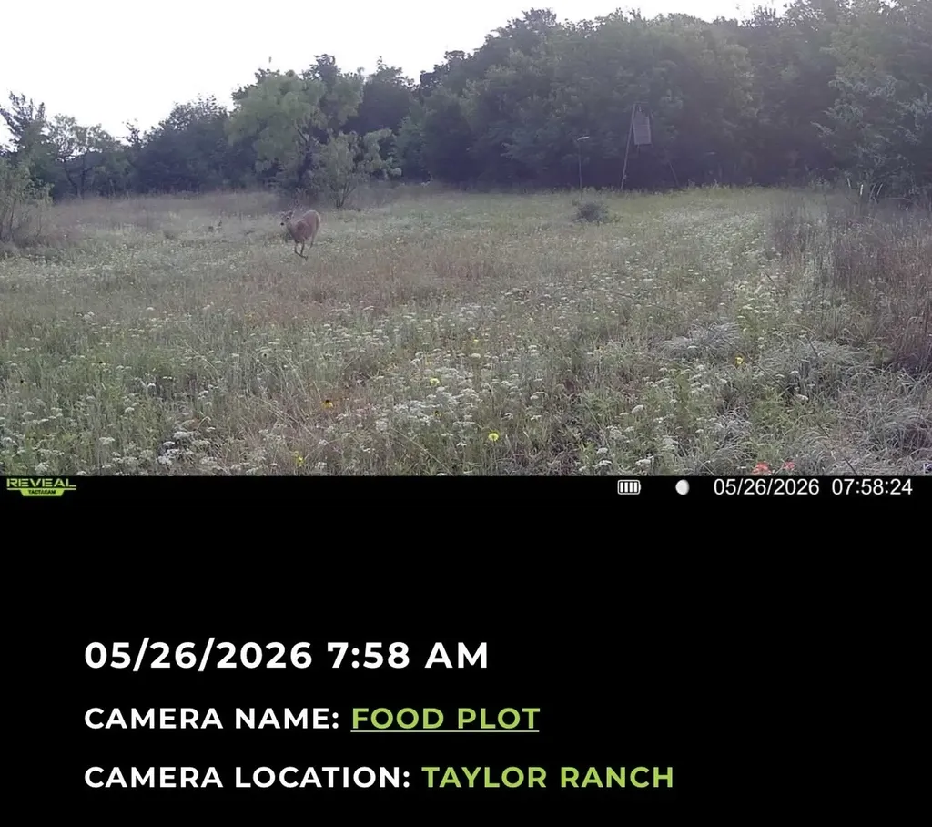 224 Hcr 3350 N Hubbard TX 76648